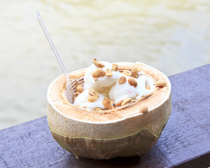 coconut Ice Cream with nuts