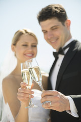 Couple Toasting Champagne Flutes Outdoors