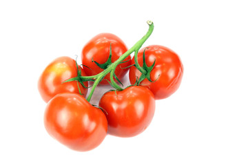 Tomatoes isolated on white