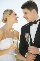 Bride And Groom With Champagne Flutes Holding Hands Outdoors