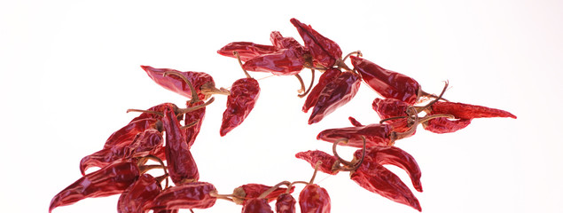 red pepper on white background