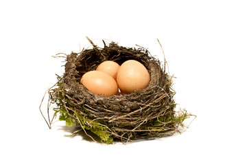 Nid d'oiseau avec trois oeufs