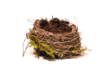 nid d'oiseau détouré sur blanc © PACO COMO