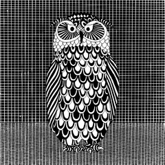 Owl illustration