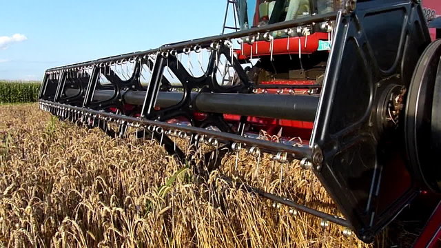 Wheat harvester slow motion