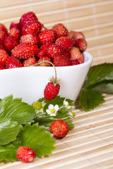 Wild strawberries in a small bowl, surrounded by leaves