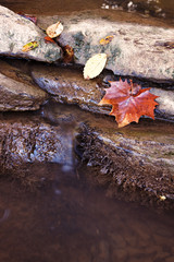 Small rocky creek