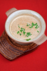Mushroom cream  soup