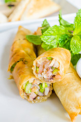 Thai spring roll