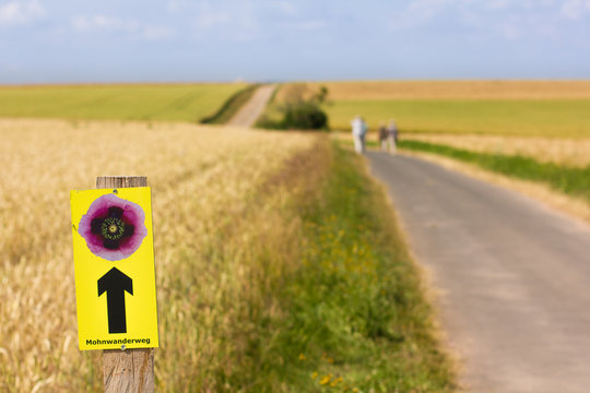 Mohnwanderweg