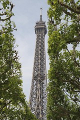 Paris:Eiffelturm umrandet von Parkbäumen - Hochformat