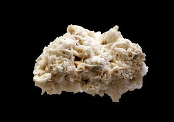 Crystal of Gypsum