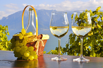 Obrazy na Szkle  Wino i winogrona. Region Lavaux, Szwajcaria