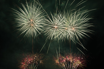 Fototapeta premium Feu d'artifice