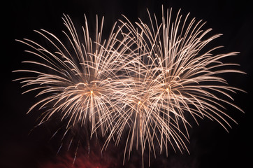 Obraz premium Feu d'artifice