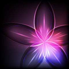 Abstract magenta light flower vector background.