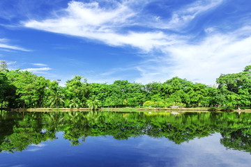 Fototapeta premium park with lake