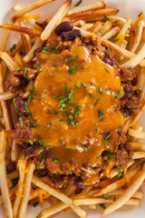 Unhealthy Messy Chili Cheese Fries