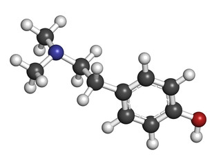 Hordenine (dimethyltyramine) stimulant molecule, chemical struct
