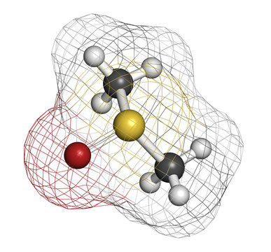 dimethylsulfoxide (DMSO) solvent molecule, chemical structure.