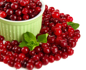 Ripe red cranberries in bowl, isolated on white.