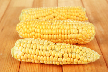 Fresh corn on wooden background