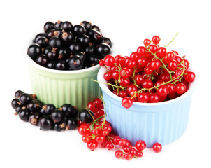 Red and black currant in bowls isolated on white