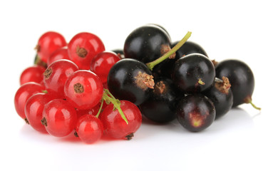 Red and black currant isolated on white