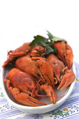 Crayfish crab crawfish red on a platter