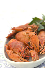 Crayfish crab crawfish red on a platter