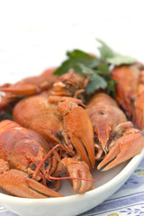 Crayfish crab crawfish red on a platter