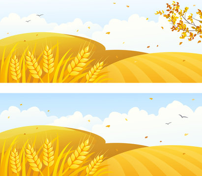 Autumn crop banners
