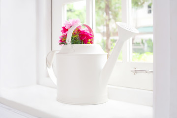 flowers in watering pot