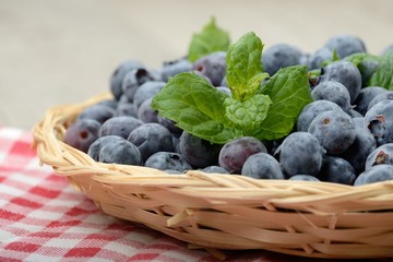 Cestino di mirtilli