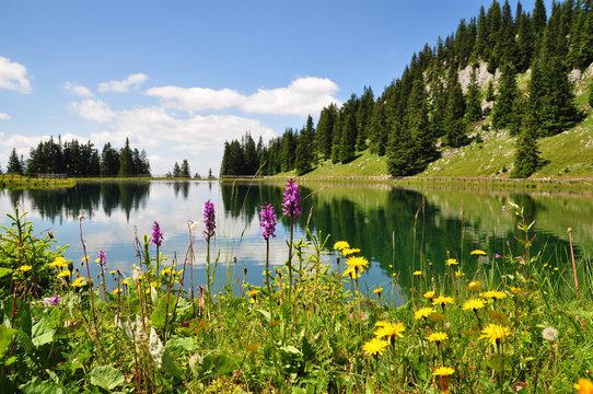 Fototapeta Gebirgssee in Österreich