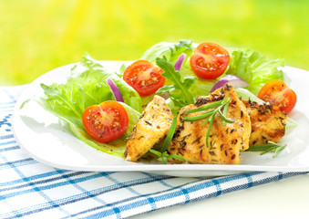 Grilled chicken breast fillet with fresh spring salad outdoor