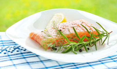 Fresh salmon with lemon, rosemary and dill on white plate