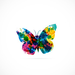 logo papillon © M.studio