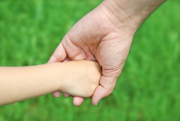 Child holds the hand of the father