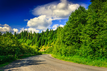 Fototapeta premium mountain route through pine forest on a summer evening horizonta