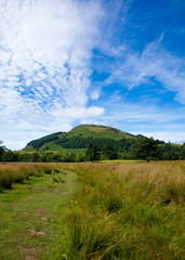 marshy plains around Loch Tay