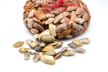 almejas pequeñas