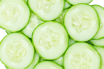Cucumber