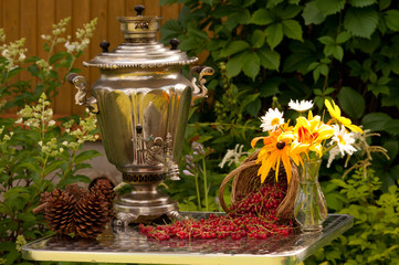 still life with samovar and red currants