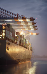 Container Terminal in Hamburg