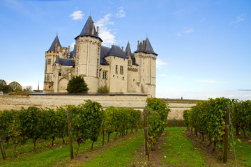 Saumur castle and vineyards
