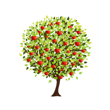 Isolated apple tree for your design