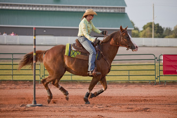 Pole Bender