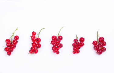 fresh berries isolated on white