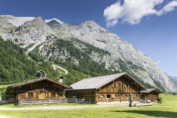 Fototapeta na wymiar Typical huts in Austrian Apls